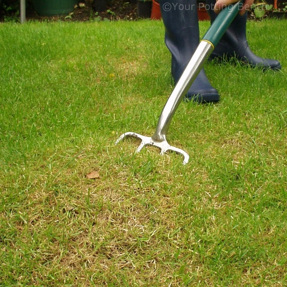 Step 4 of How to care for your lawn in Autumn
