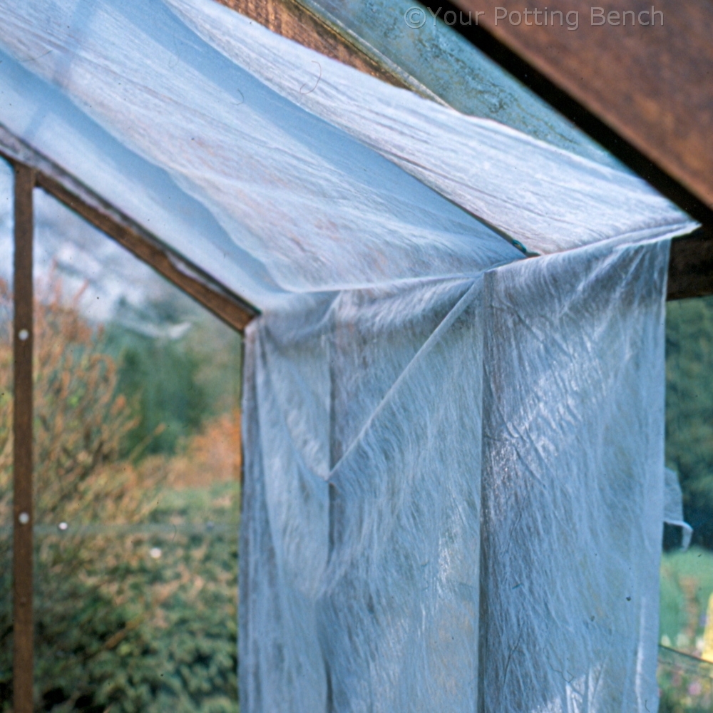 How to protect plants from heat