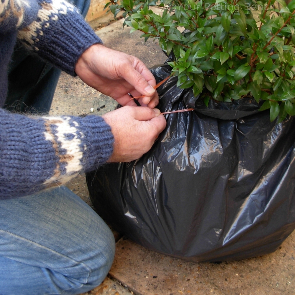 How to Protect Containers