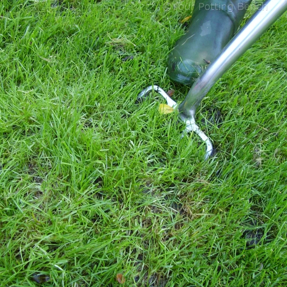 Step 3 of How to keep a lawn drained