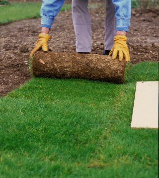 Step 2 of How to turf a lawn 