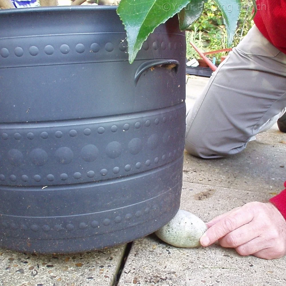 Step 4 of How to keep Containers Well-Drained