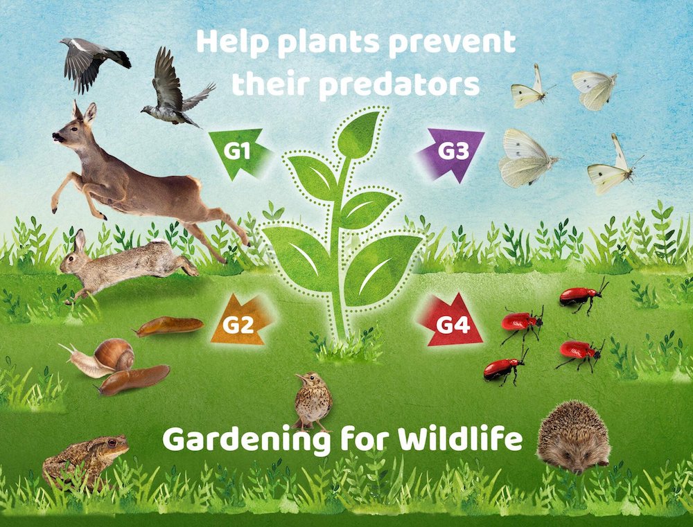 Latest News from garden.help