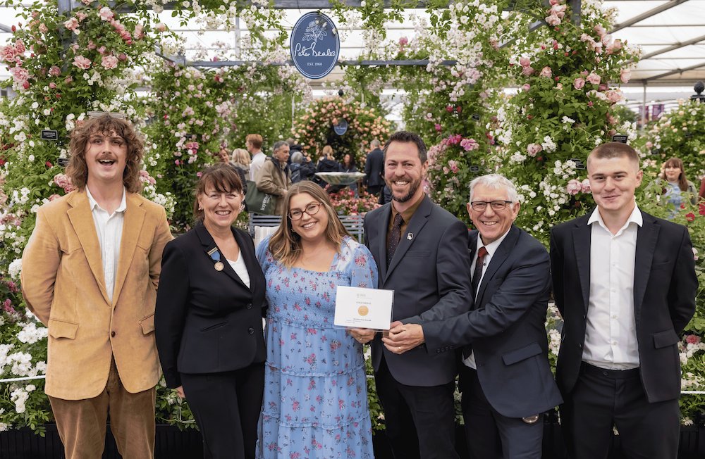 Image of Peter Beales Roses Claims Historic 31st Gold Medal at Chelsea 2026