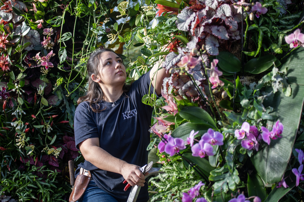 Latest News from garden.help