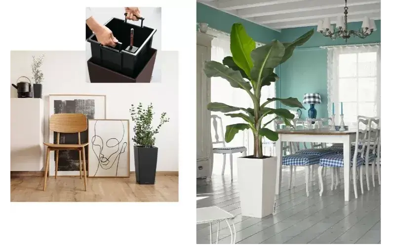 Win a Pair of Beautiful LECHUZA Planters
