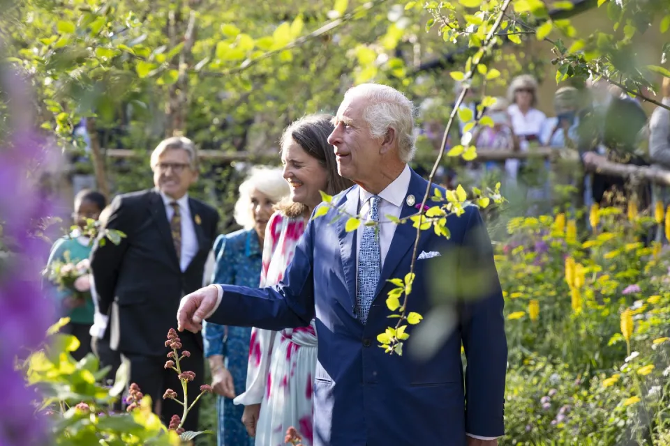 King Charles Receives Sycamore Gap Seedling