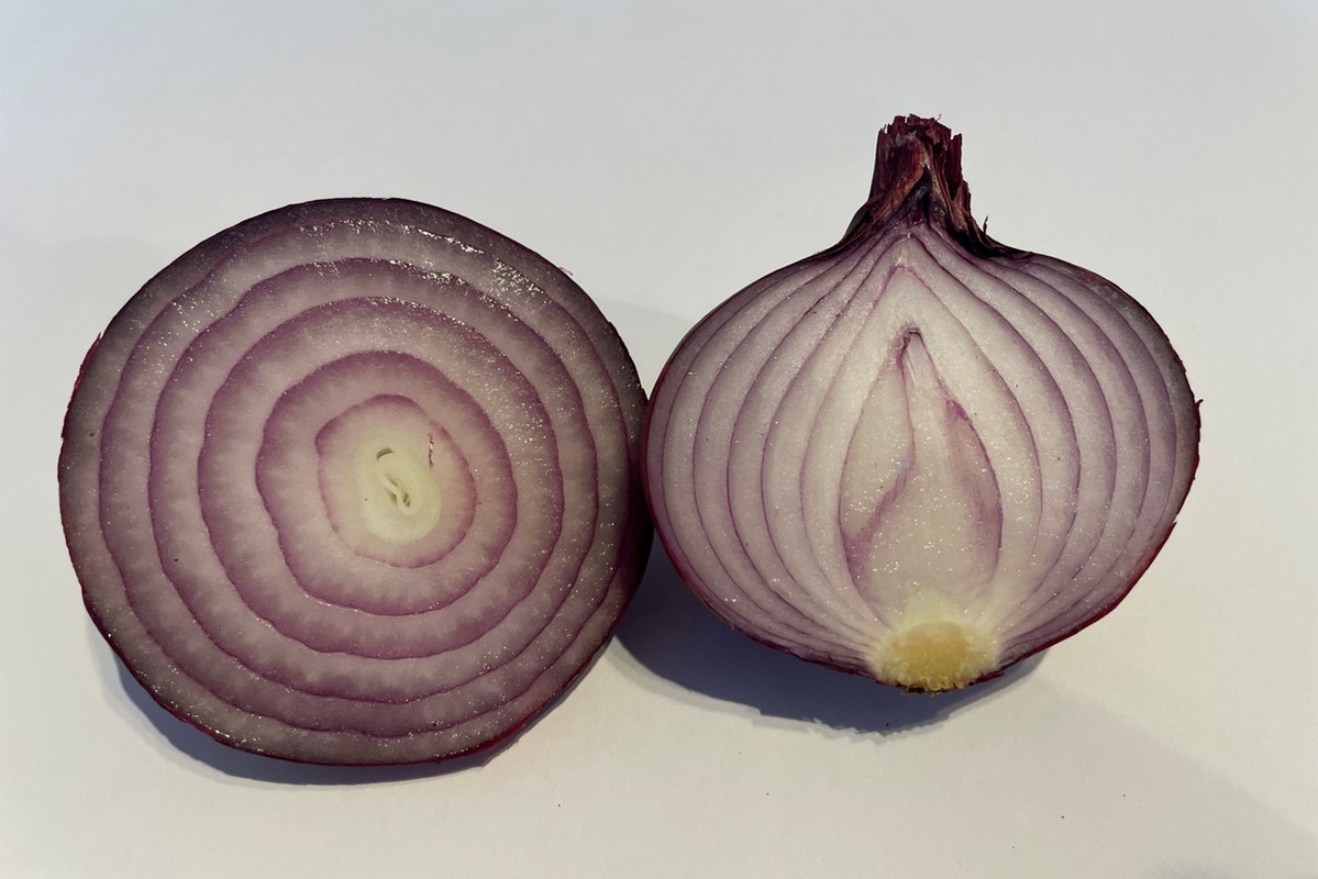 Calypso - An 'Ap-peeling' Onion