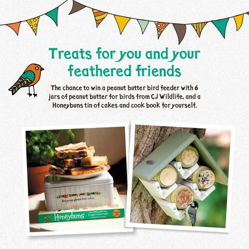 Image for Win treats for you and your feathered friends