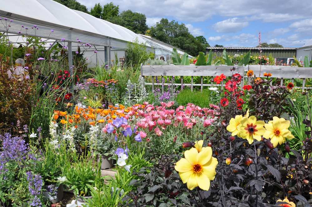 Let's talk about mental health this Monday, says Plants and Minds