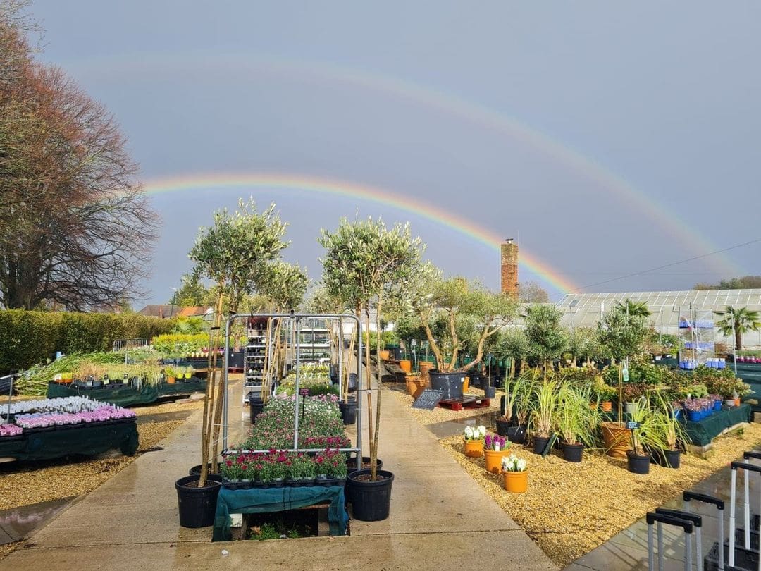 Kings Park Nursery in Bournemouth to Close