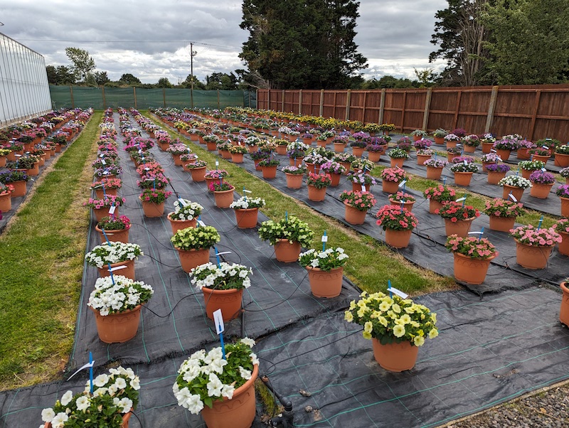 Latest News from garden.help