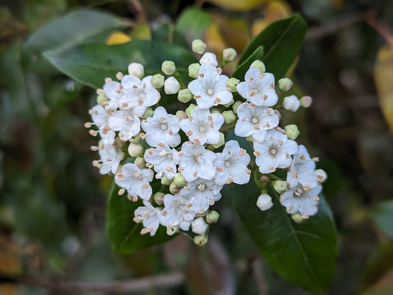 Latest News from garden.help