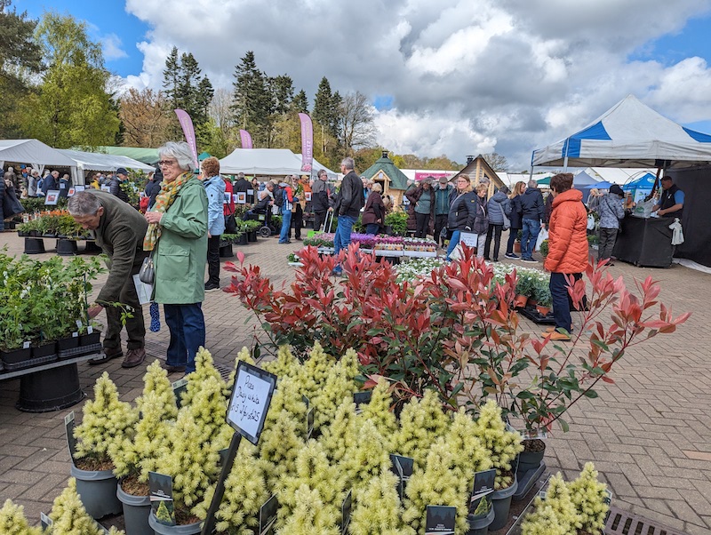 Latest News from garden.help