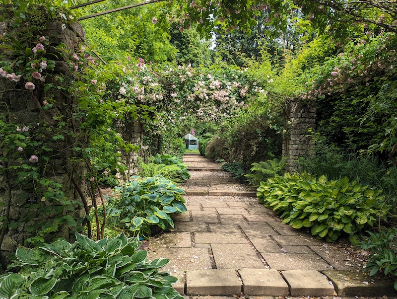 Latest News from garden.help