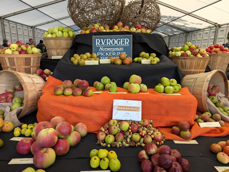 Latest News from garden.help