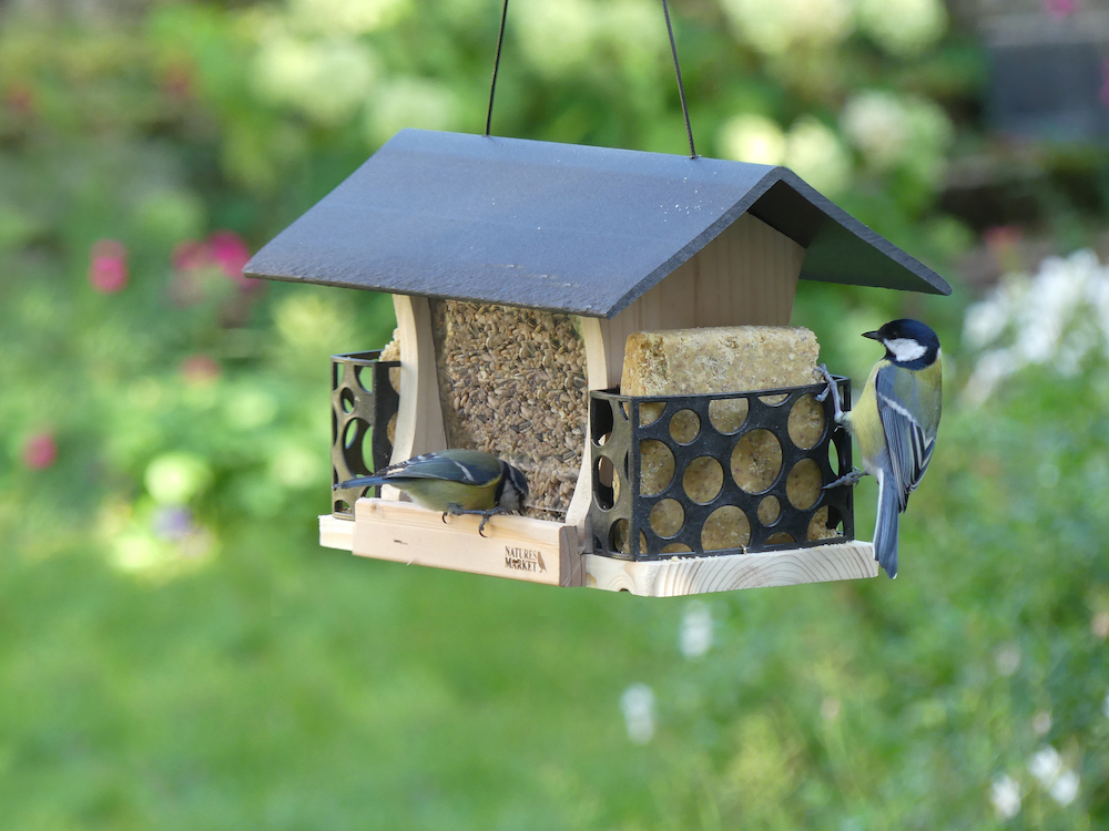 Peckish Launches 100% Recycled Bird Feeder Range