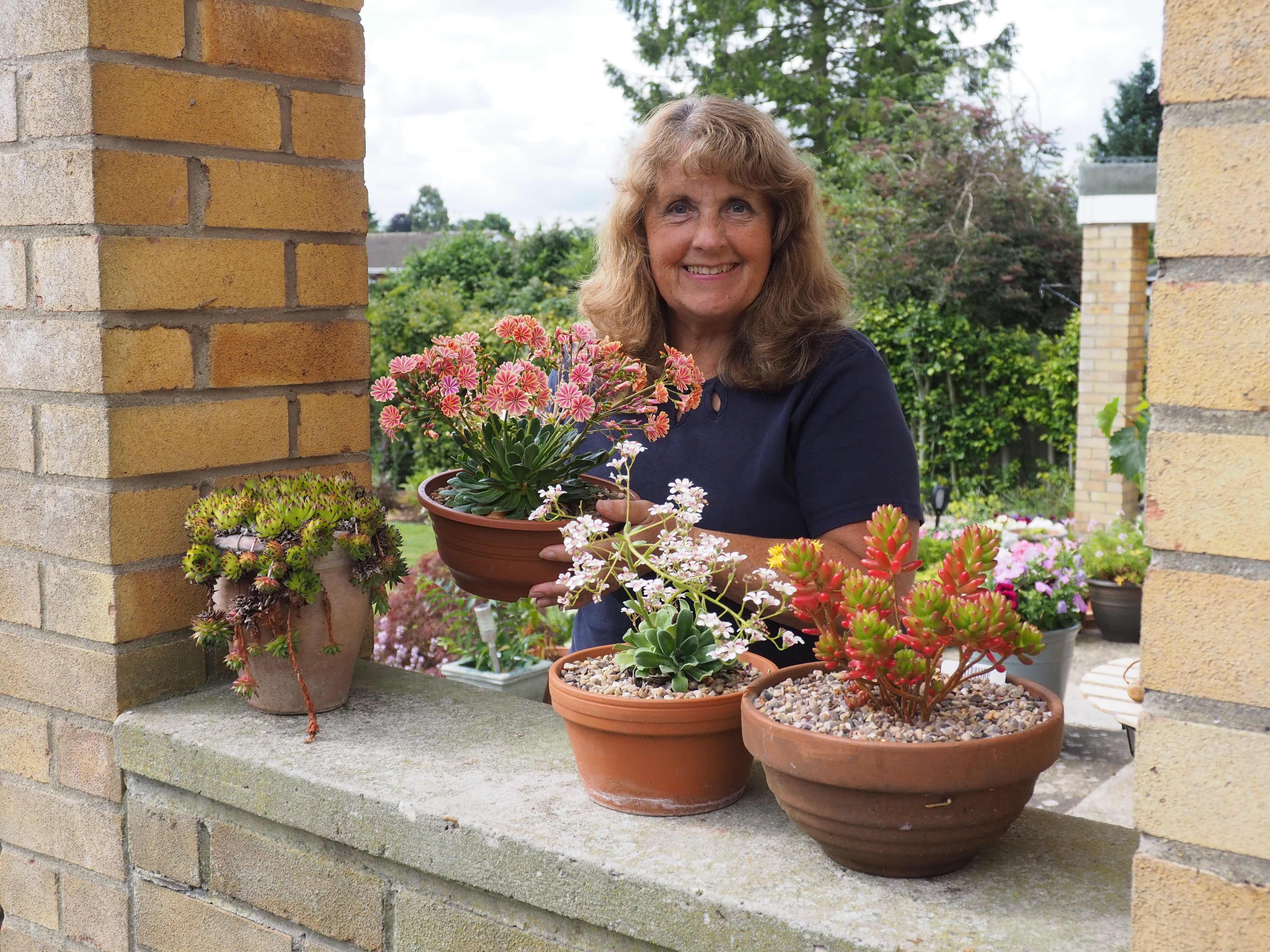 Latest News from garden.help