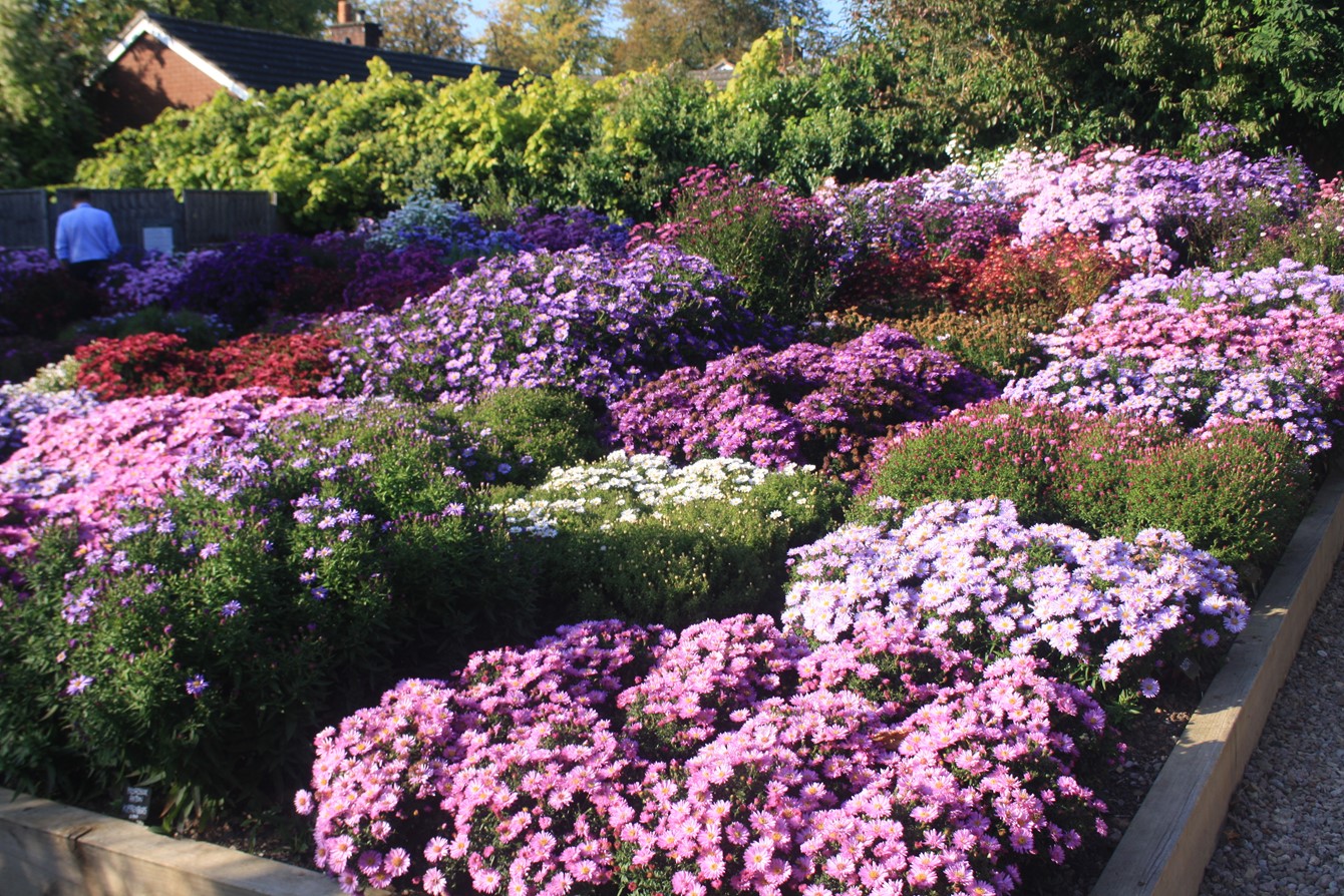 Plant Heritage Hits 700 National Plant Collections