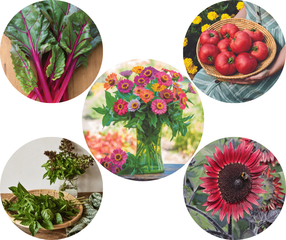 Gardening Trends - Sustainable and Frugal Gardening