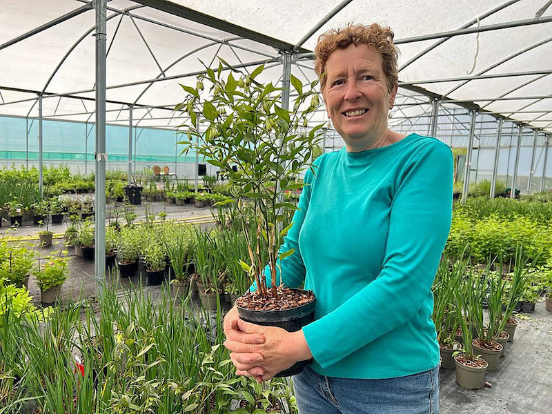 The Cottage Garden Society AGM