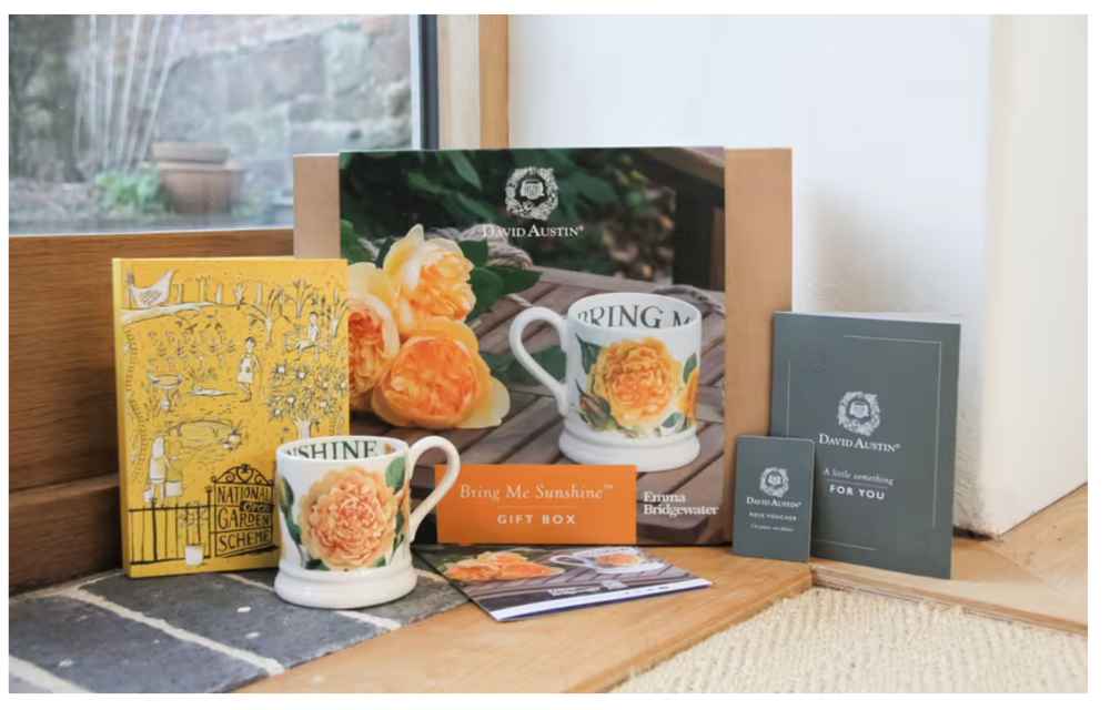 David Austin Roses & Emma Bridgewater Reveal Charity Collaboration