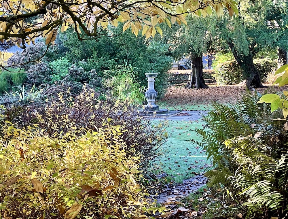 Latest News from garden.help