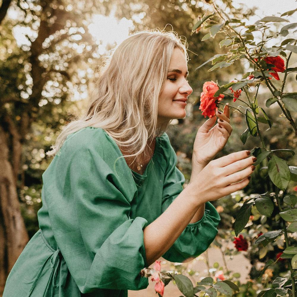 Latest News from garden.help