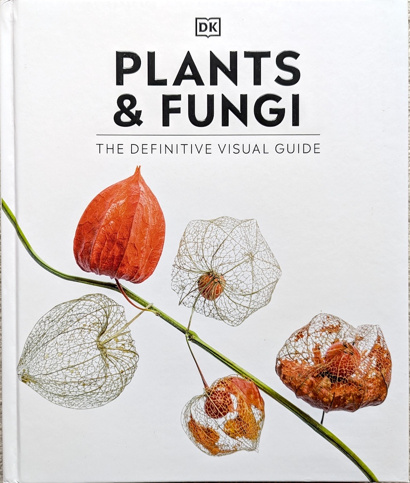 Latest News from garden.help