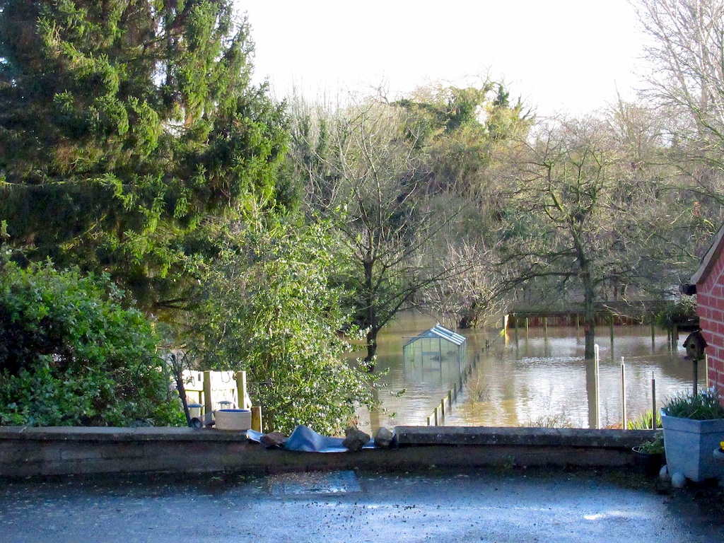 Image for Protect Your Garden Before, During and After Flooding 
