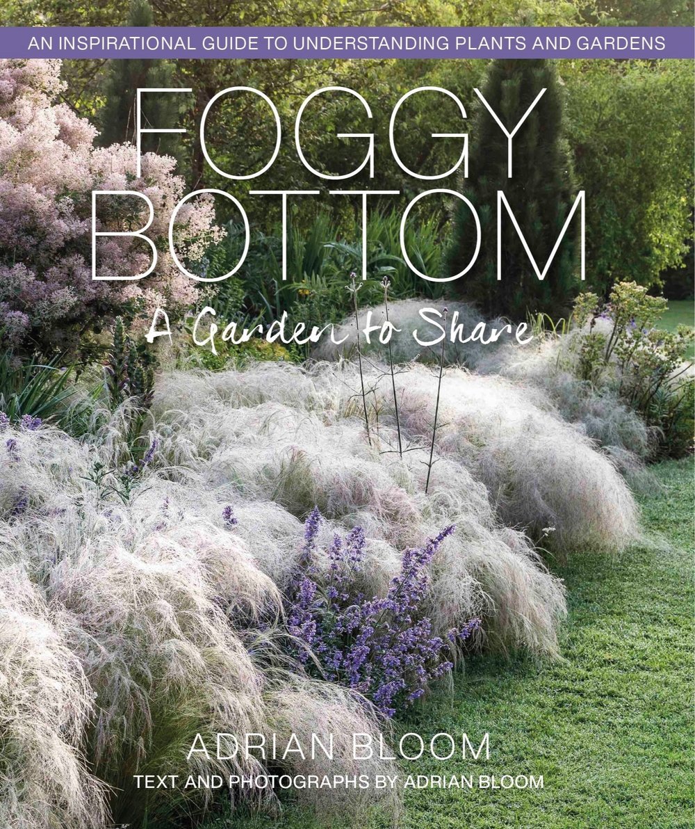 New Book: Foggy Bottom - A Garden to Share