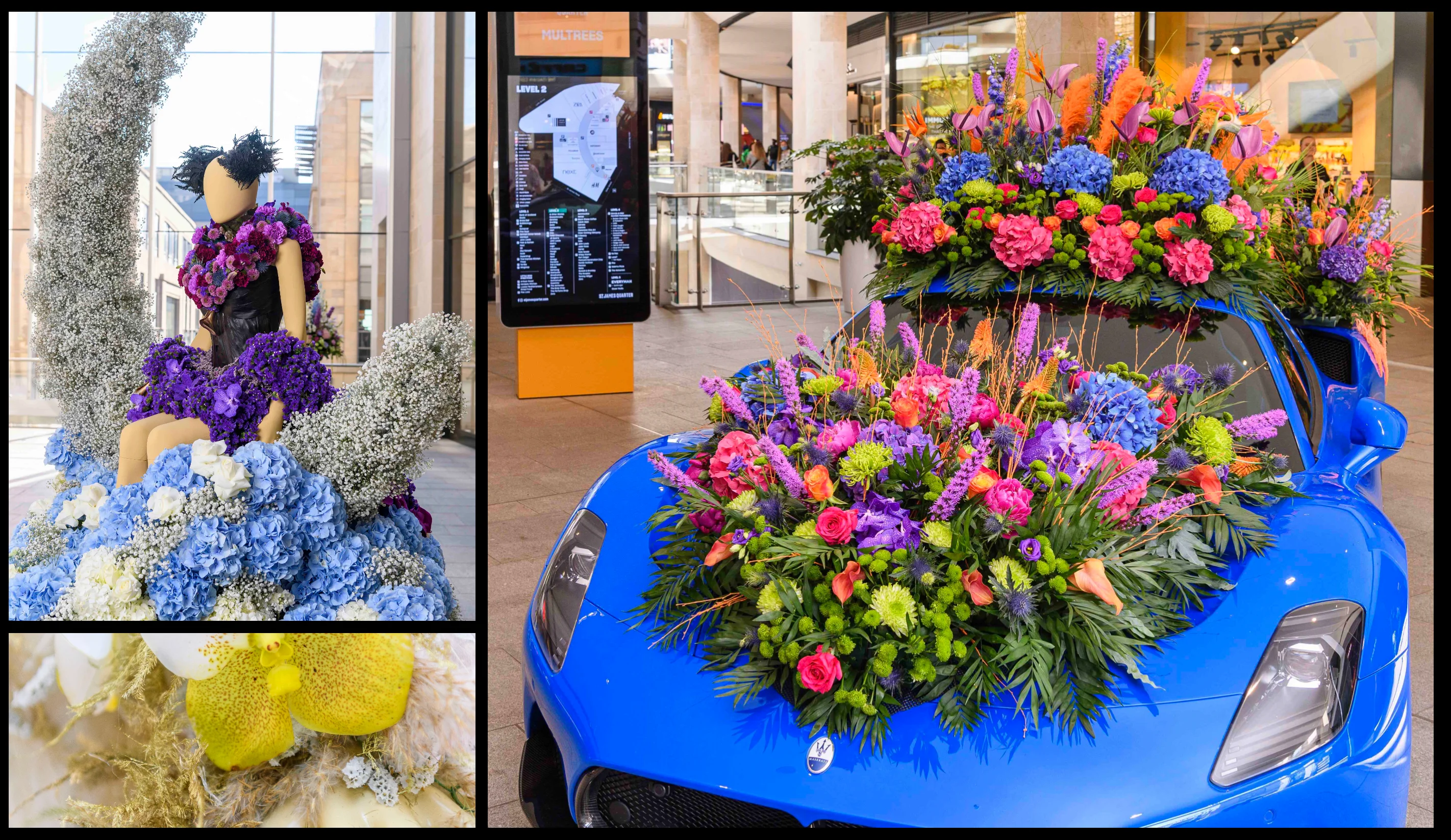 World-renowned Fleurs de Villes returns to Edinburgh