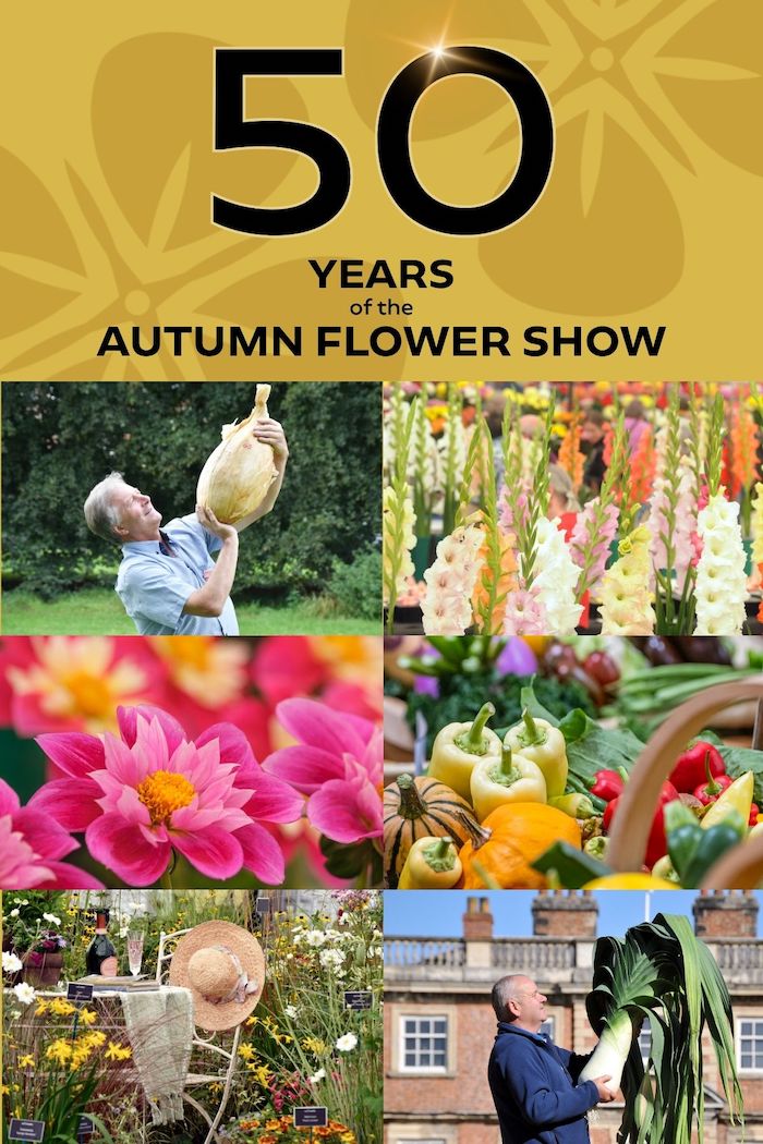 Image of Harrogate Autumn Flower Show Turns 50