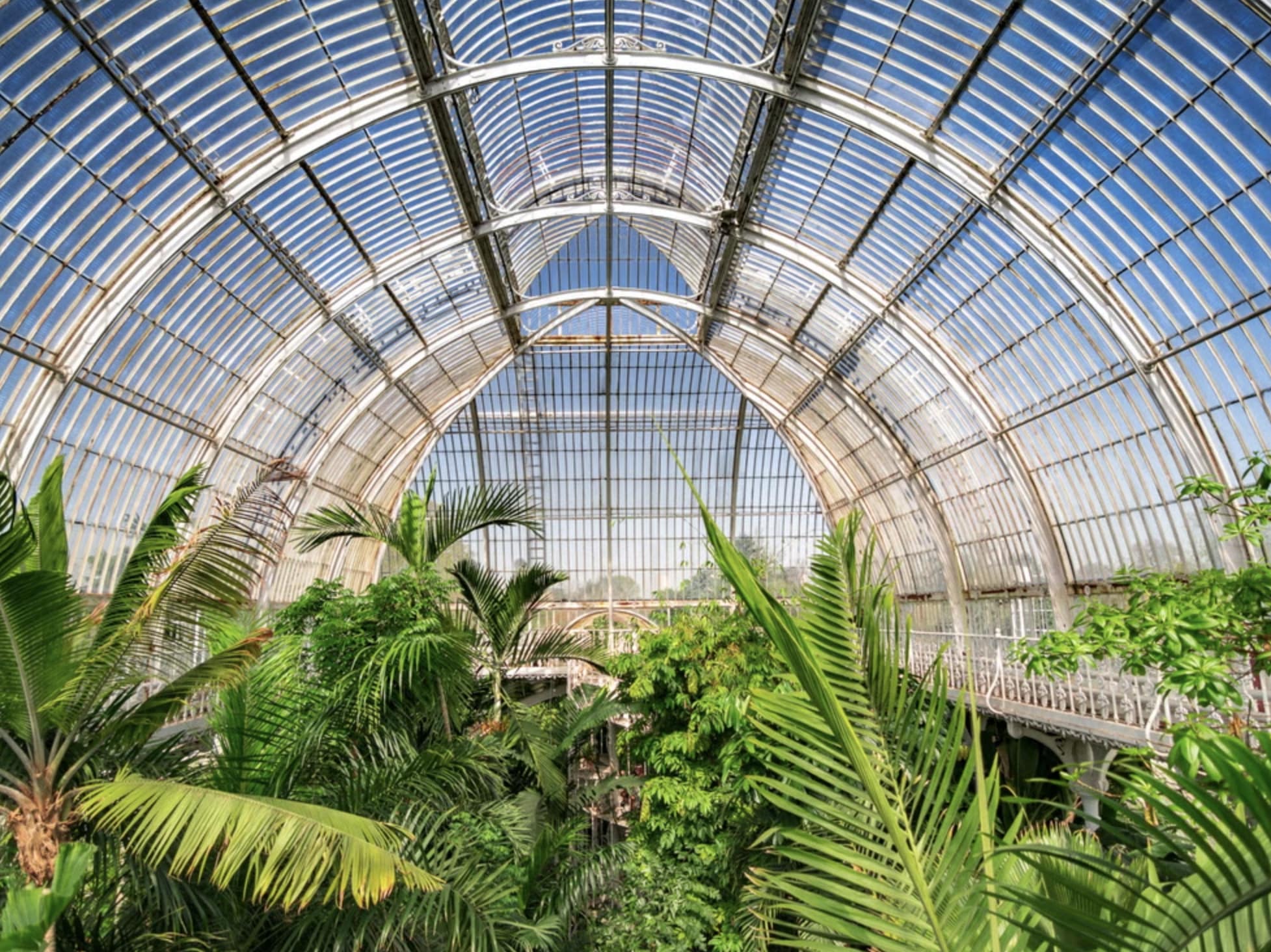 Kew Now 3rd Garden in UK to get Plant Healthy Certification