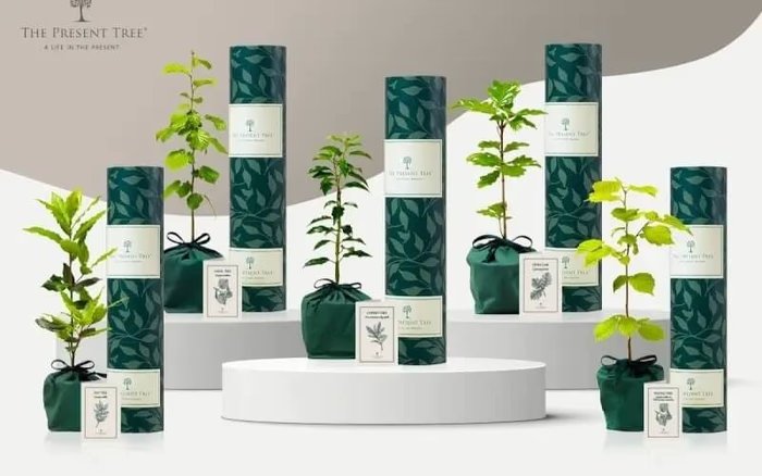 Image of Win Garden Gifts worth &pound250 from the Present Tree
