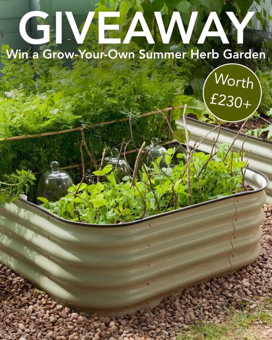 Image of Win a Grow-Your-Own Summer Herb Garden worth &pound230