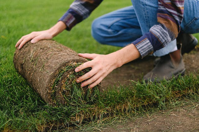 Cost of Turf Rolls to Rise in 2024