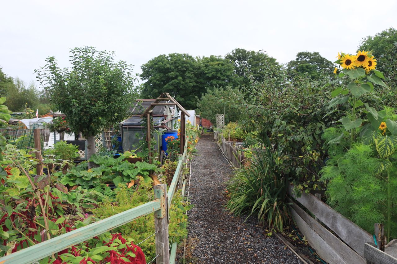 Image of T&M Launches Gardening Grant to Help Community Projects Flourish
