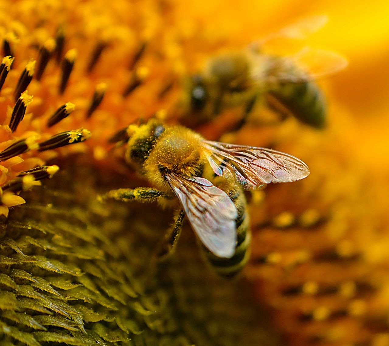 Image for Easy Ways to Help Wildlife This Summer