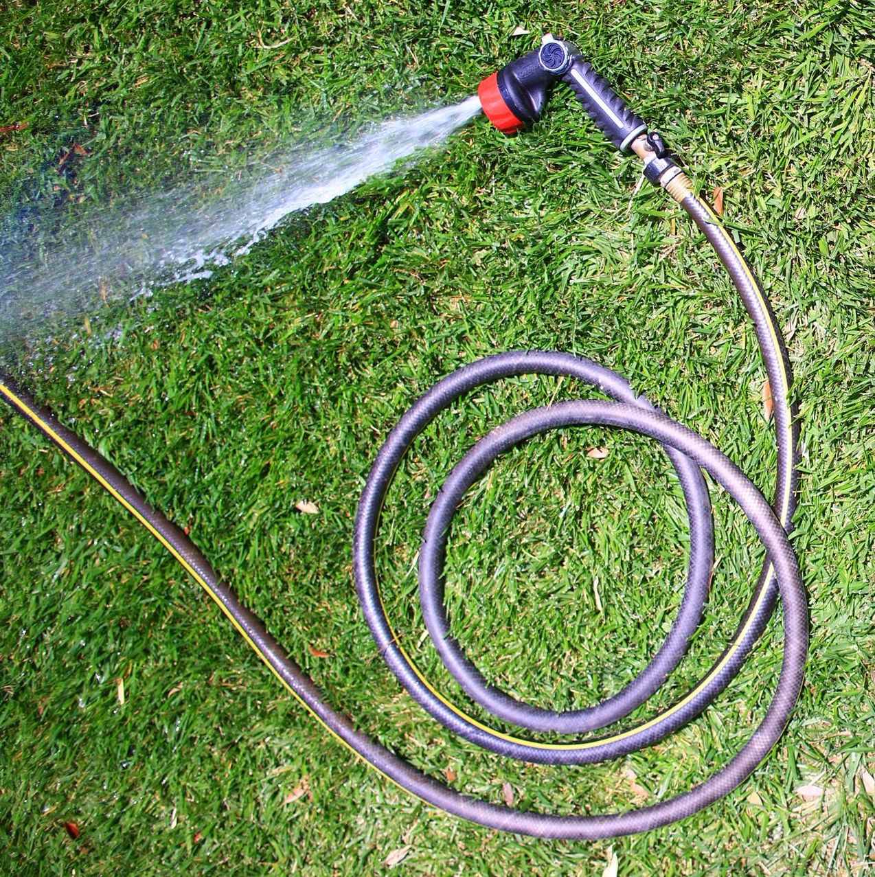Image for Are You Wasting Money Watering Your Lawn?