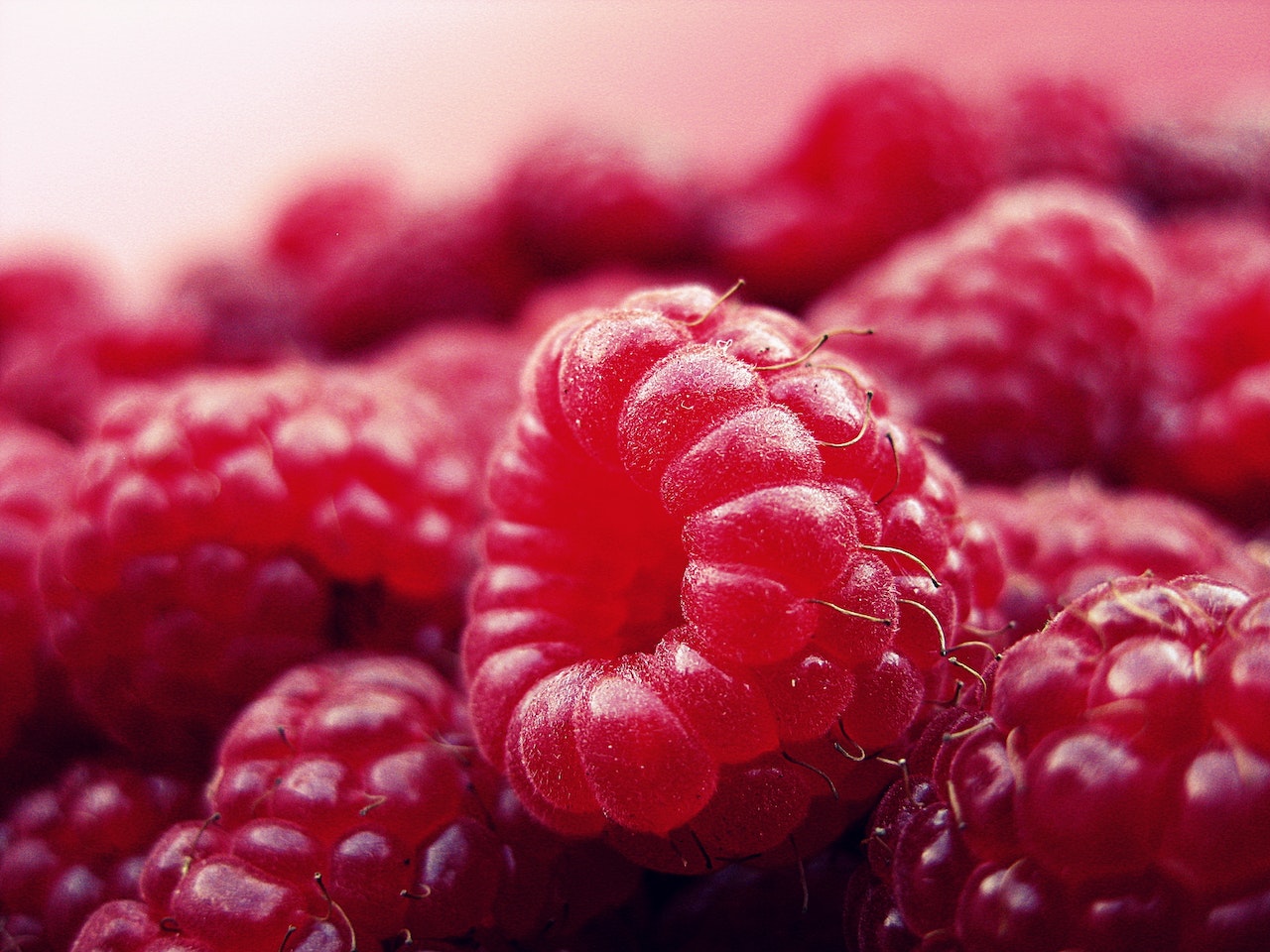 Top 5 Raspberry Recipes 