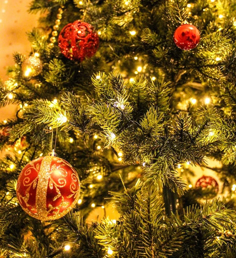 How to Care for Your Real Christmas Tree
