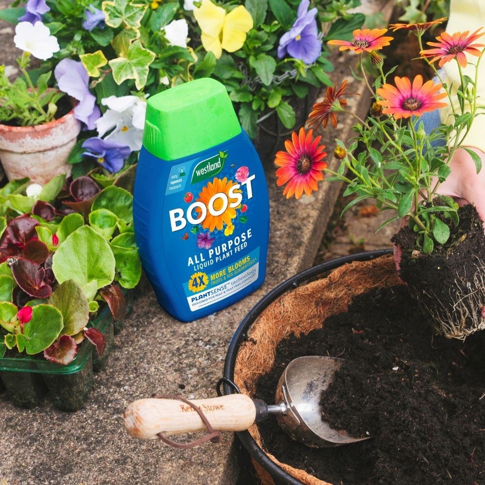 Westland Launches Community Gardening Fund