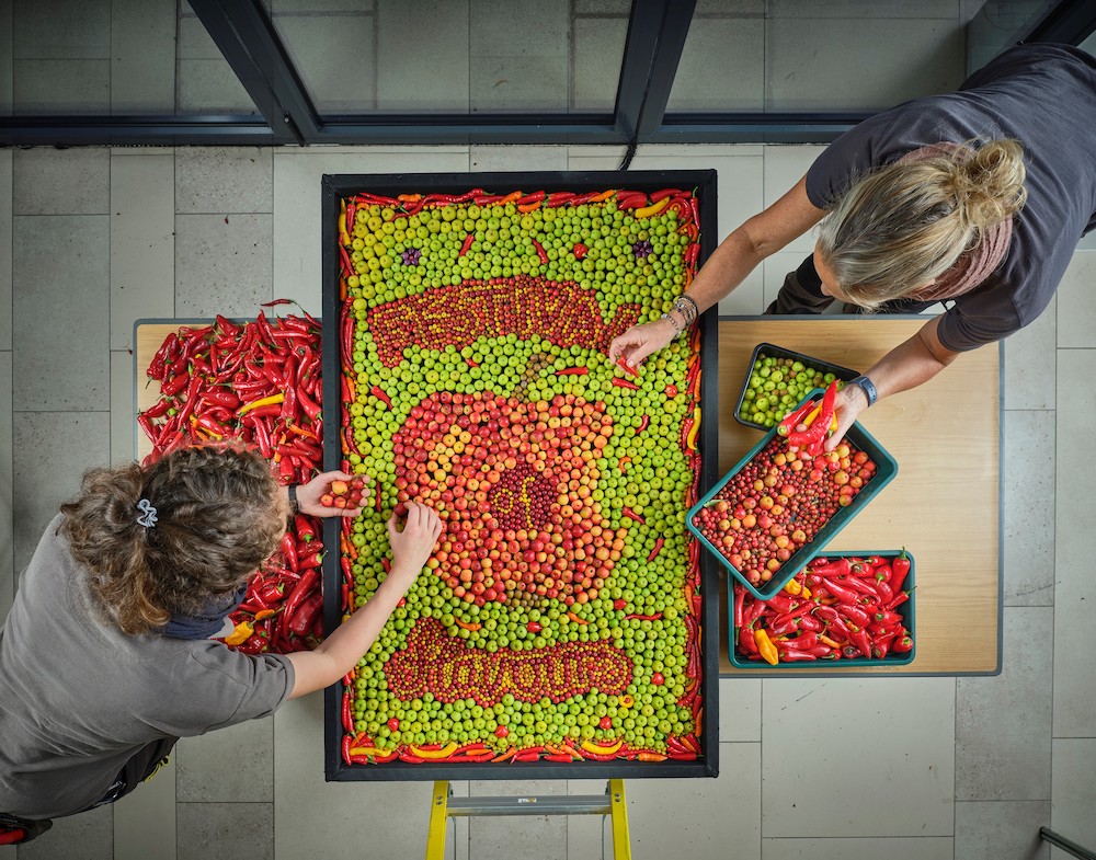 RHS says this year's British apples are fewer but sweeter
