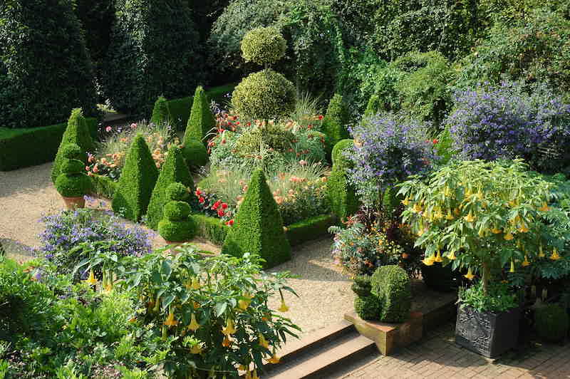 East Ruston Old Vicarage to Become a Perennial Garden