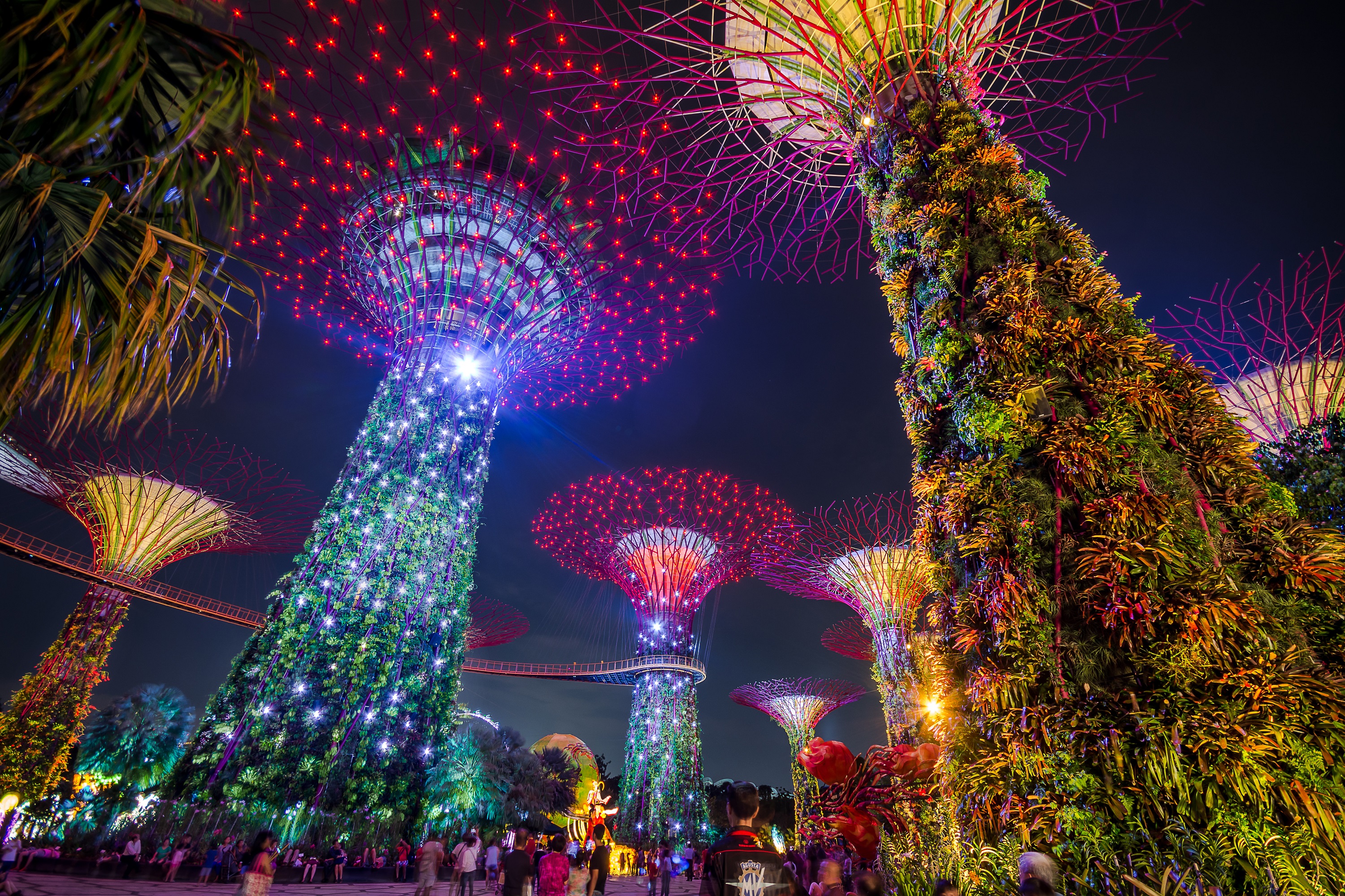 Singapore Blooms as a real City in Nature
