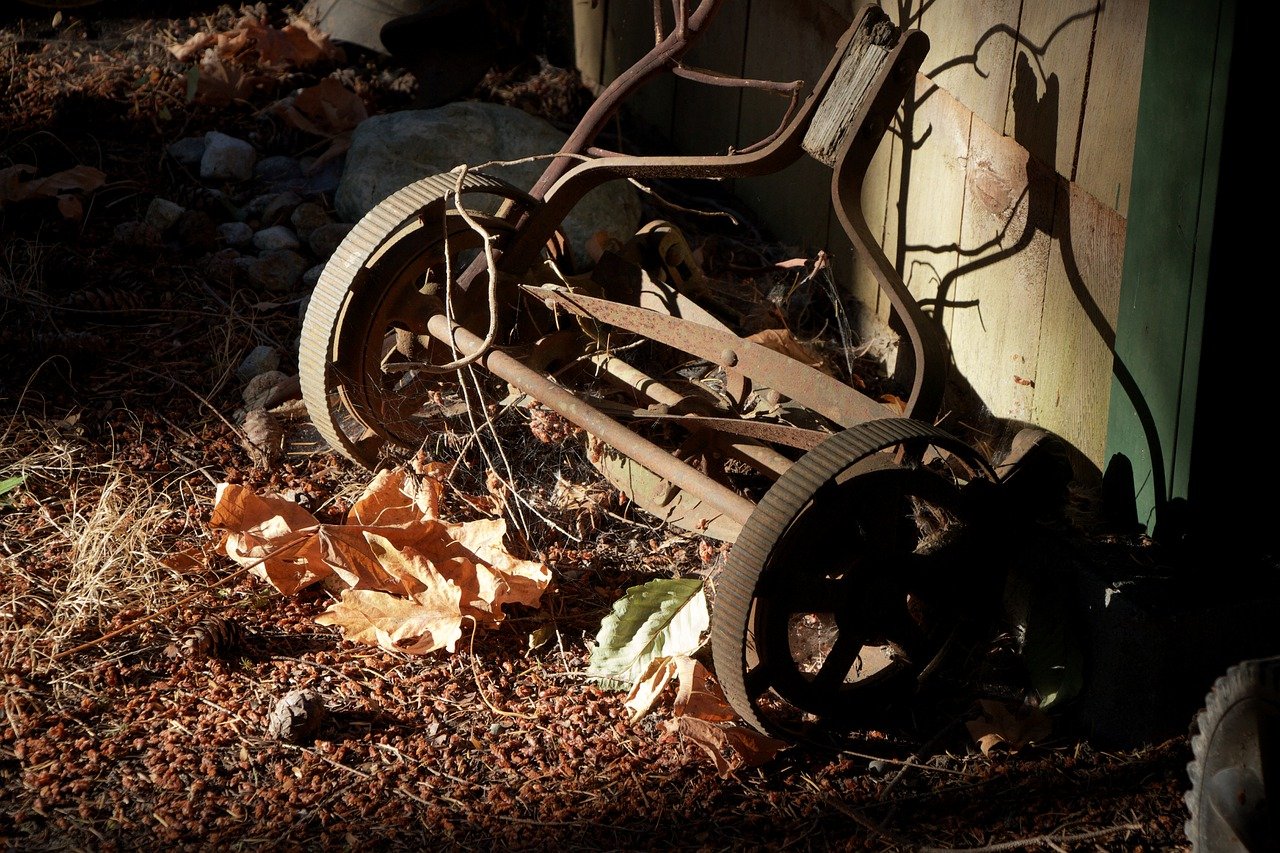 Latest News from garden.help