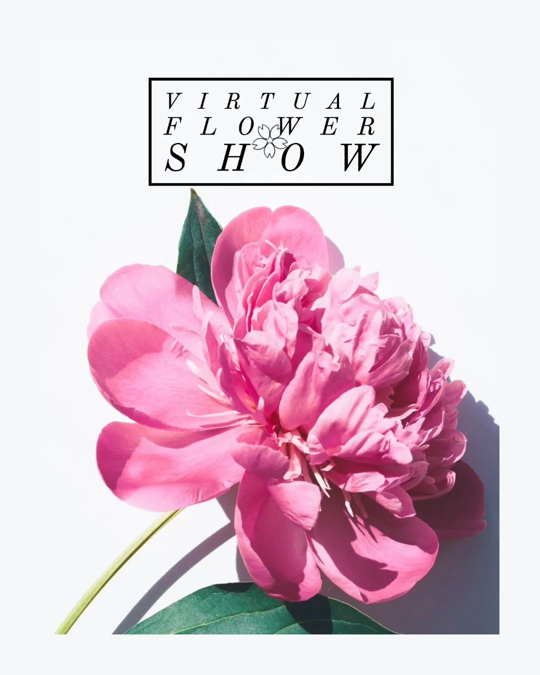 Image for Virtual Flower Show
