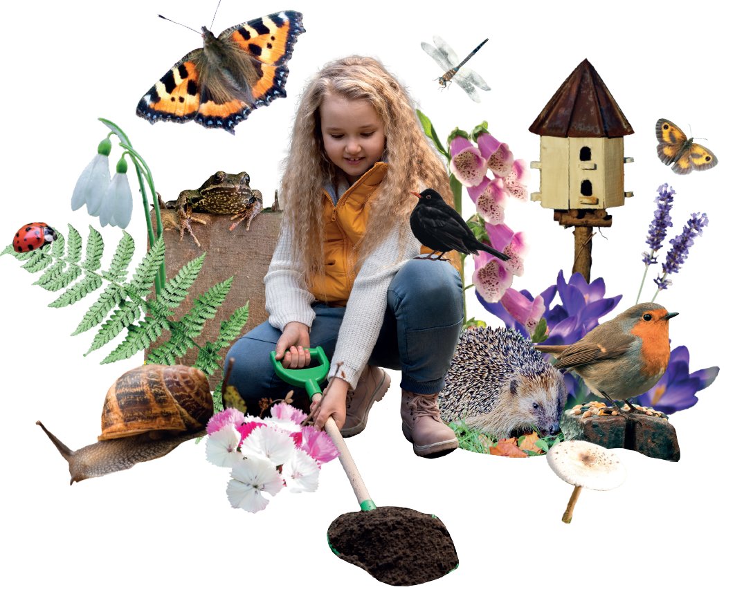 The Cottage Garden Society 'Grow In Pots' For The Malvern Show